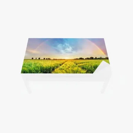 Chapa adhesiva para mesa y escritorio arcoíris sobre campo de trigo al atardecer – Pixers®