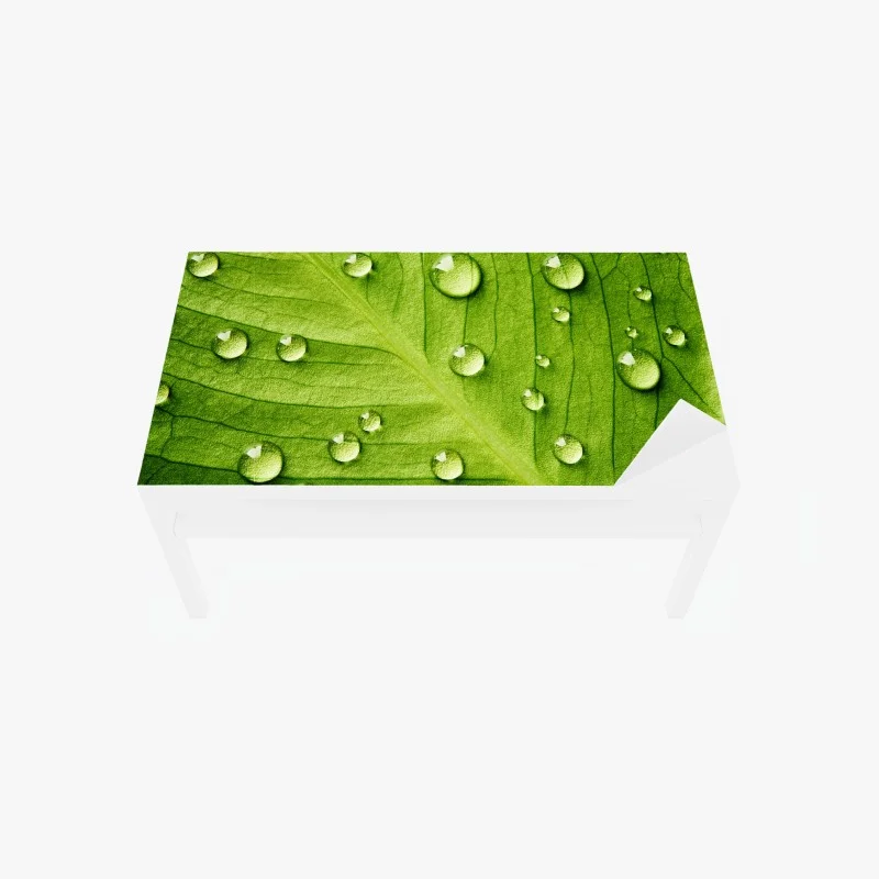 Chapa adhesiva para mesa y escritorio hoja verde con gotas de rocío