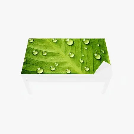 Chapa adhesiva para mesa y escritorio hoja verde con gotas de rocío – Pixers®