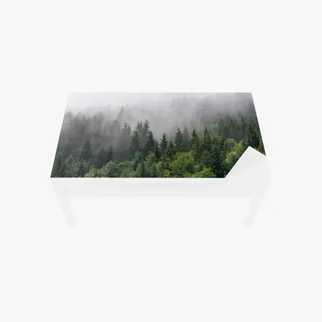 Chapa adhesiva para mesa y escritorio bosque perenne entre la niebla – Pixers®