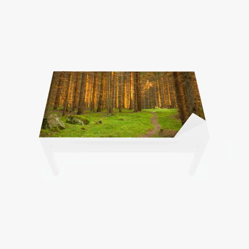 Chapa adhesiva para mesa y escritorio bosque iluminado al atardecer