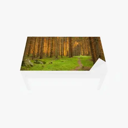 Chapa adhesiva para mesa y escritorio bosque iluminado al atardecer – Pixers®
