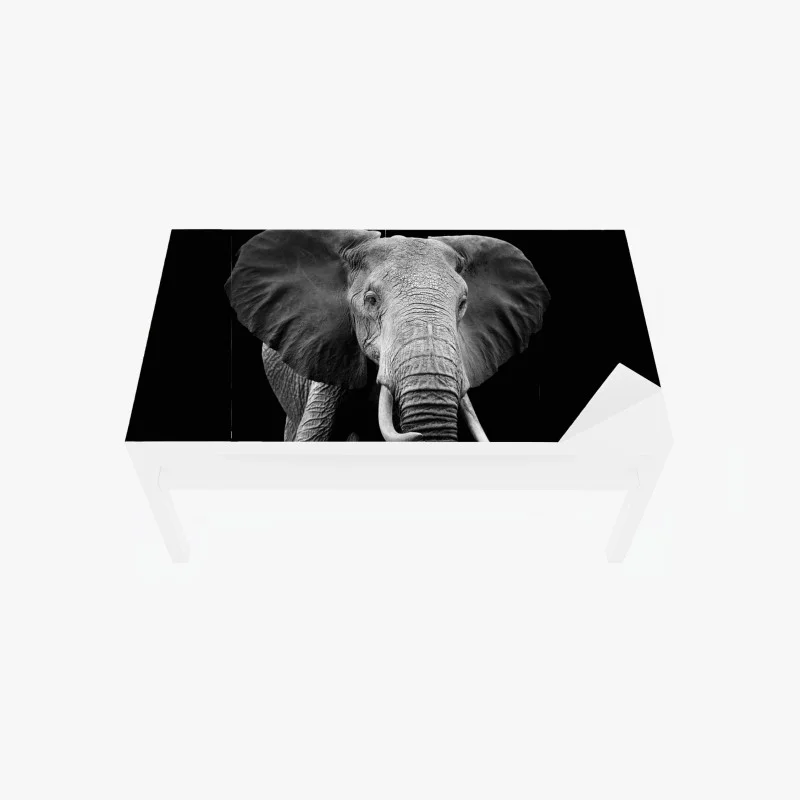 Chapa adhesiva para mesa y escritorio elefante en blanco y negro, mirada majestuosa