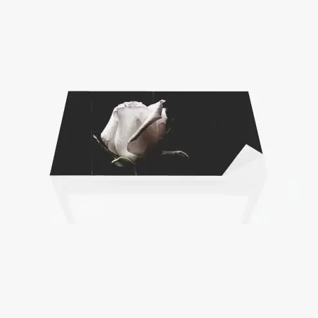 Chapa adhesiva para mesa y escritorio rosa blanca sobre fondo oscuro – Pixers®