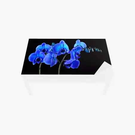 Chapa adhesiva para mesa y escritorio orquídea azul sobre fondo negro – Pixers®