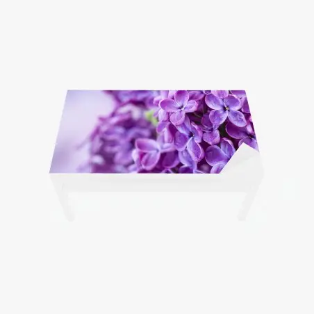Chapa adhesiva para mesa y escritorio lilas moradas en primer plano para decoración – Pixers®