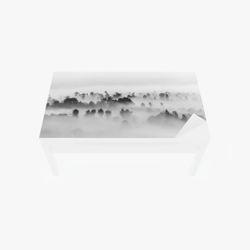 Chapa adhesiva para mesa y escritorio bosque entre niebla en blanco y negro