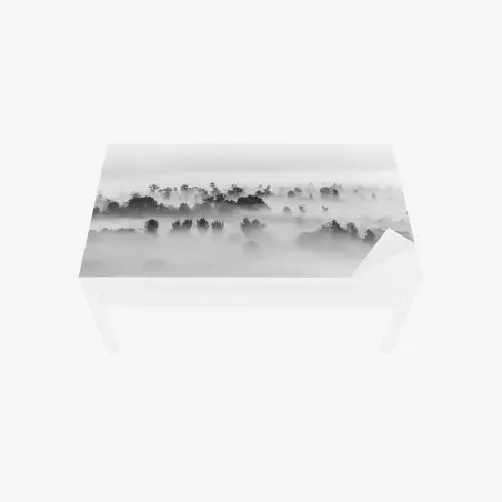 Chapa adhesiva para mesa y escritorio bosque entre niebla en blanco y negro – Pixers®