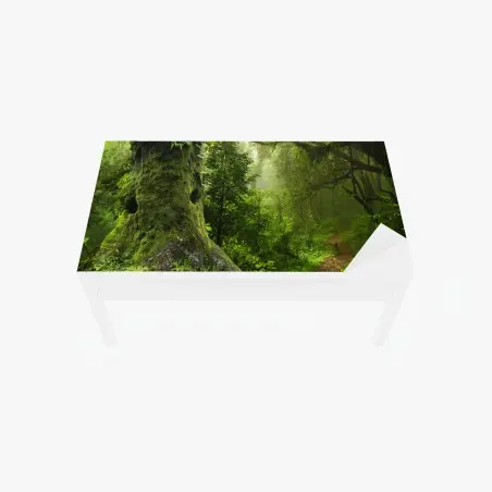 Chapa adhesiva para mesa y escritorio bosque ancestral en bruma – Pixers®