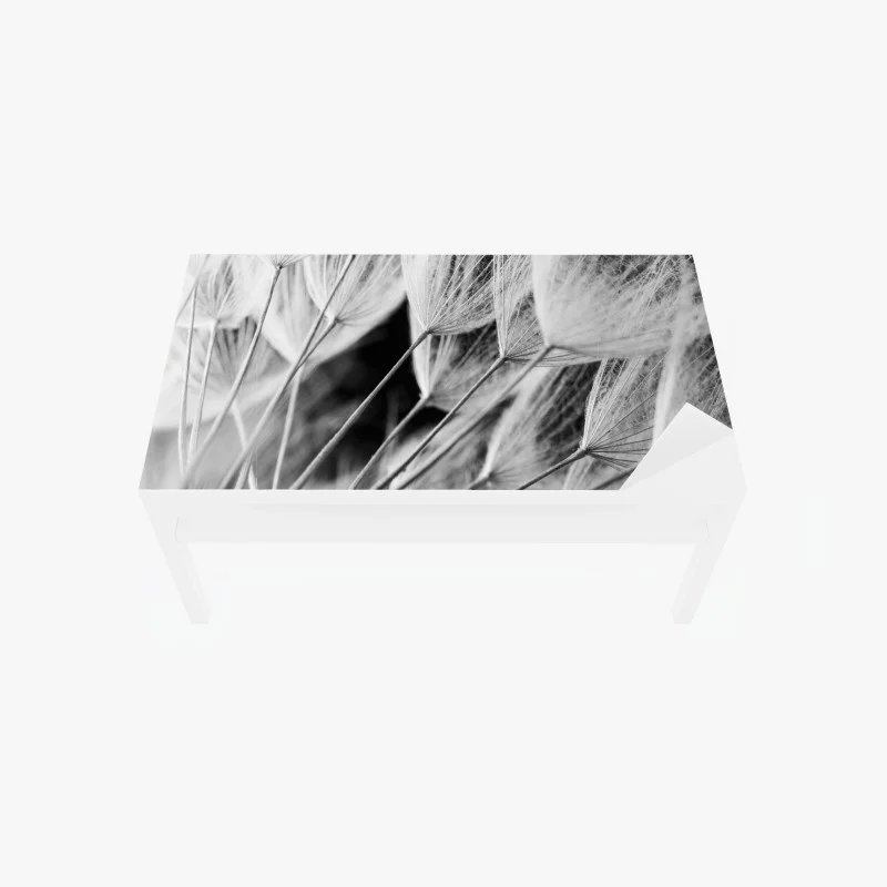 Chapa adhesiva para mesa y escritorio detalle delicado de semillas de diente de león en blanco y negro