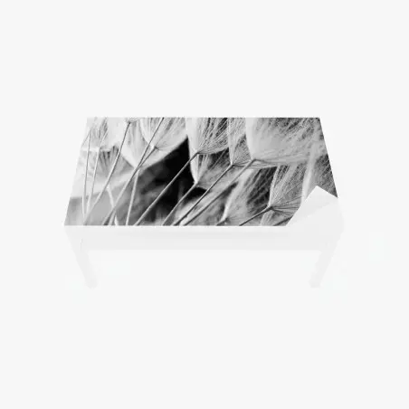 Chapa adhesiva para mesa y escritorio detalle delicado de semillas de diente de león en blanco y negro – Pixers®
