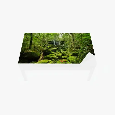 Chapa adhesiva para mesa y escritorio refugio verde en la selva tropical – Pixers®