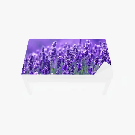 Chapa adhesiva para mesa y escritorio campo de lavanda en primer plano – Pixers®