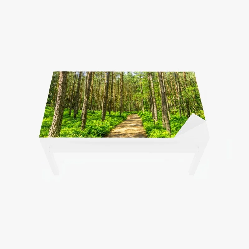 Chapa adhesiva para mesa y escritorio sendero sereno entre pinos