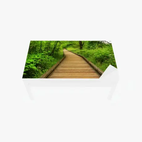 Chapa adhesiva para mesa y escritorio sendero de madera entre árboles – Pixers®