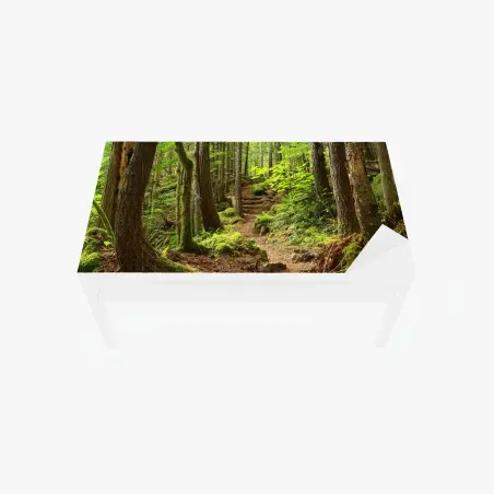 Chapa adhesiva para mesa y escritorio sendero en bosque esmeralda – Pixers®