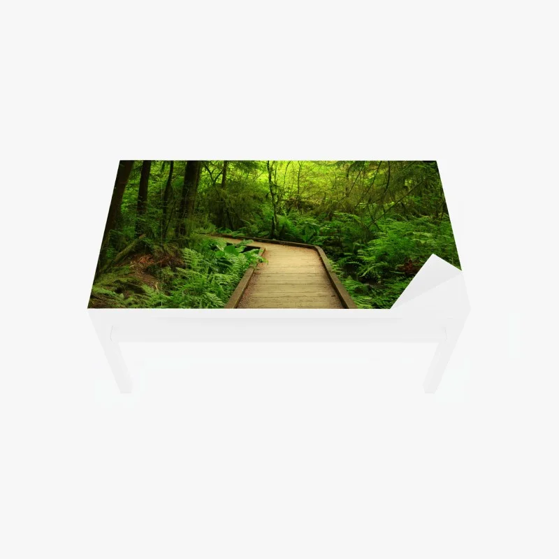 Chapa adhesiva para mesa y escritorio sendero verde en bosque encantado