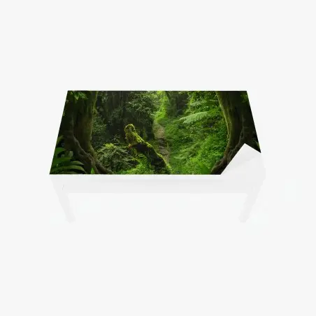 Chapa adhesiva para mesa y escritorio bosque encantado: sendero entre musgo y helechos – Pixers®