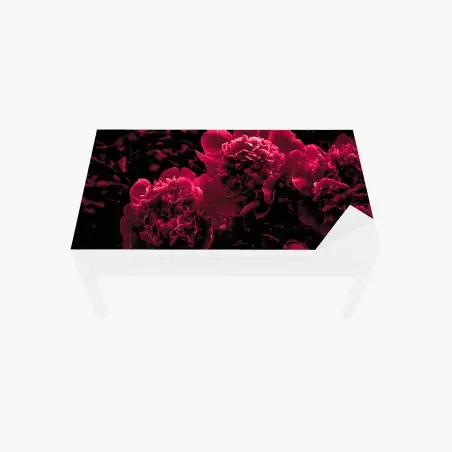 Chapa adhesiva para mesa y escritorio peonías rojas en alto contraste – Pixers®