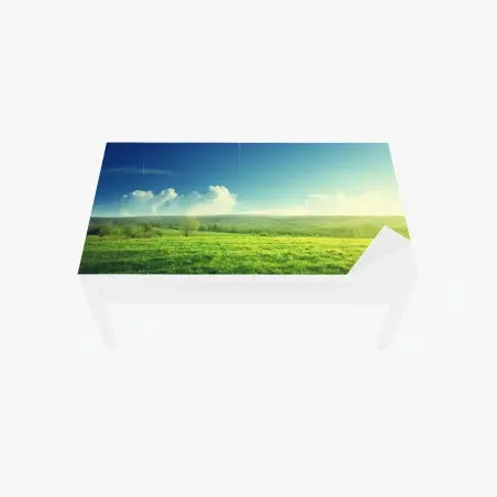 Chapa adhesiva para mesa y escritorio pradera al atardecer: paisaje sereno de primavera – Pixers®