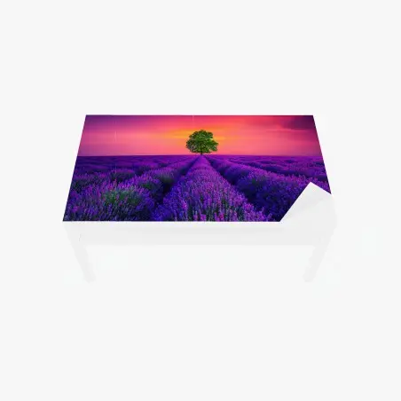 Chapa adhesiva para mesa y escritorio árbol solitario entre campos de lavanda al atardecer – Pixers®