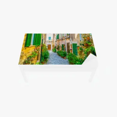 Chapa adhesiva para mesa y escritorio calle empedrada con macetas y persianas verdes – Pixers®