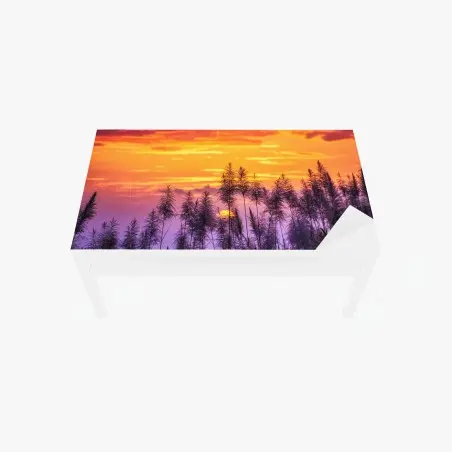 Chapa adhesiva para mesa y escritorio puesta de sol entre cañas silvestres – Pixers®