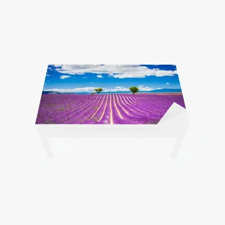 Chapa adhesiva para mesa y escritorio campo de lavanda en Provenza al atardecer – Pixers®