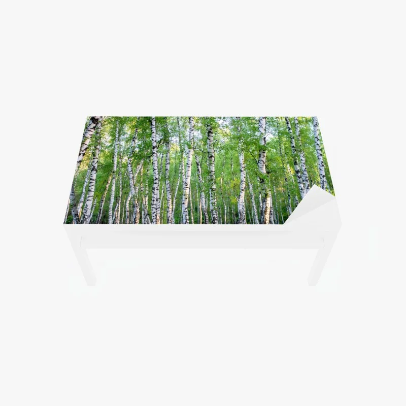 Chapa adhesiva para mesa y escritorio arboleda de abedules en verano