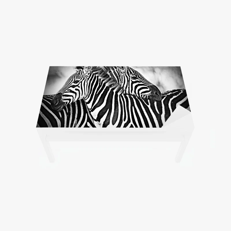 Chapa adhesiva para mesa y escritorio abrazo de cebras en blanco y negro
