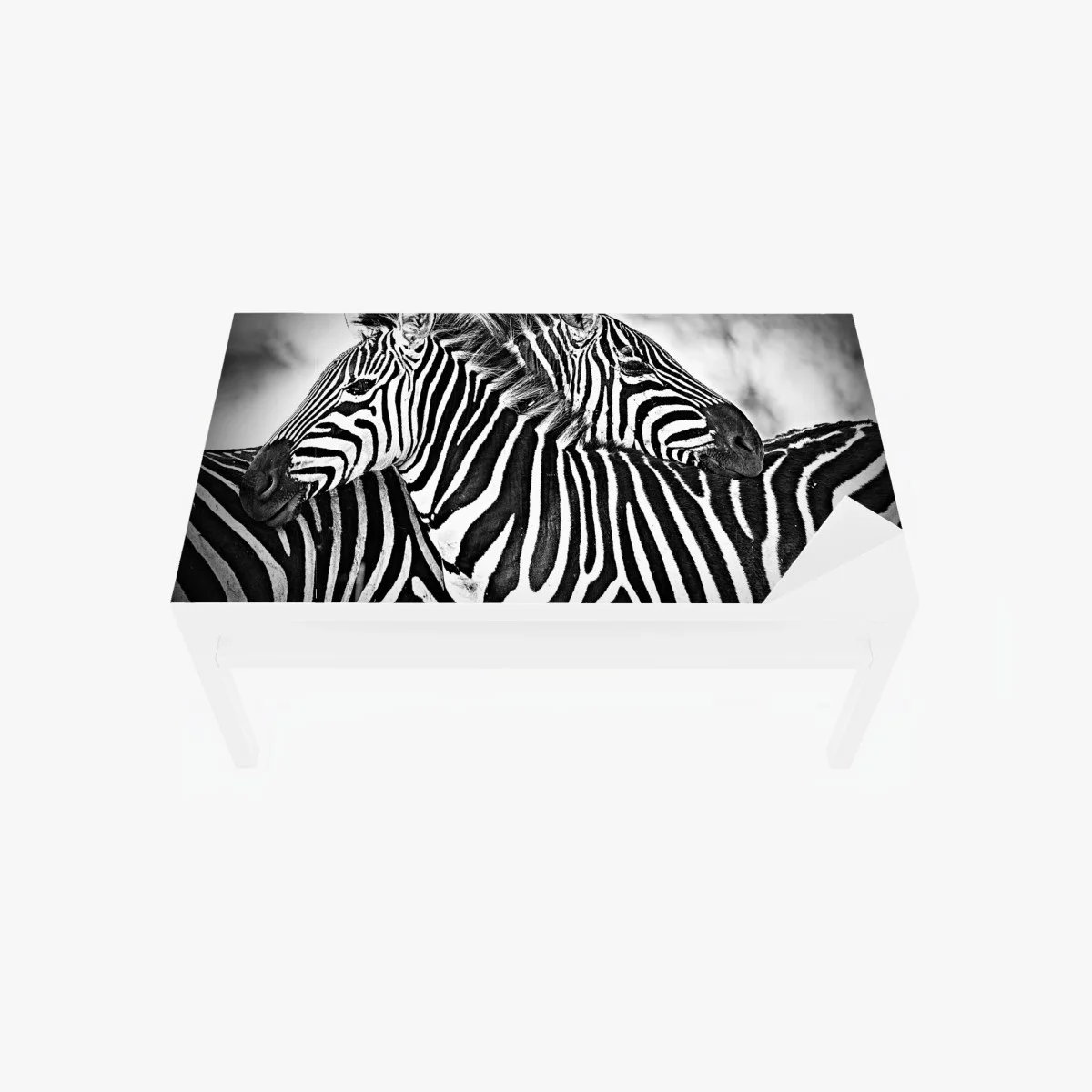 Chapa adhesiva para mesa y escritorio abrazo de cebras en blanco y negro – Pixers® Chapa adhesiva para mesa y escritorio abrazo de cebras en blanco y negro – Pixers®