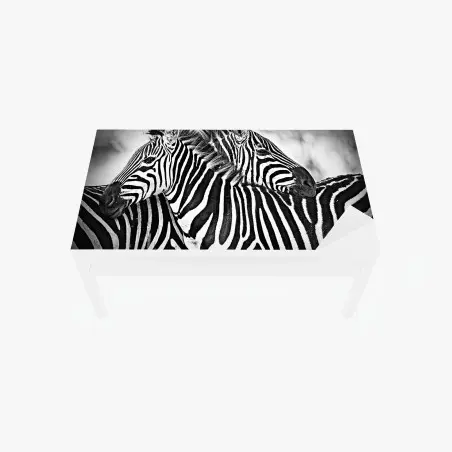 Chapa adhesiva para mesa y escritorio abrazo de cebras en blanco y negro – Pixers®