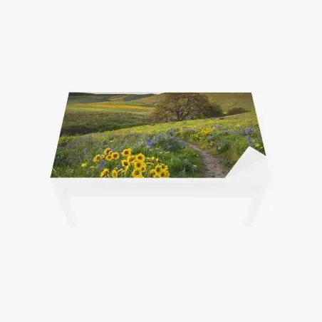 Chapa adhesiva para mesa y escritorio sendero entre flores silvestres en pradera – Pixers®