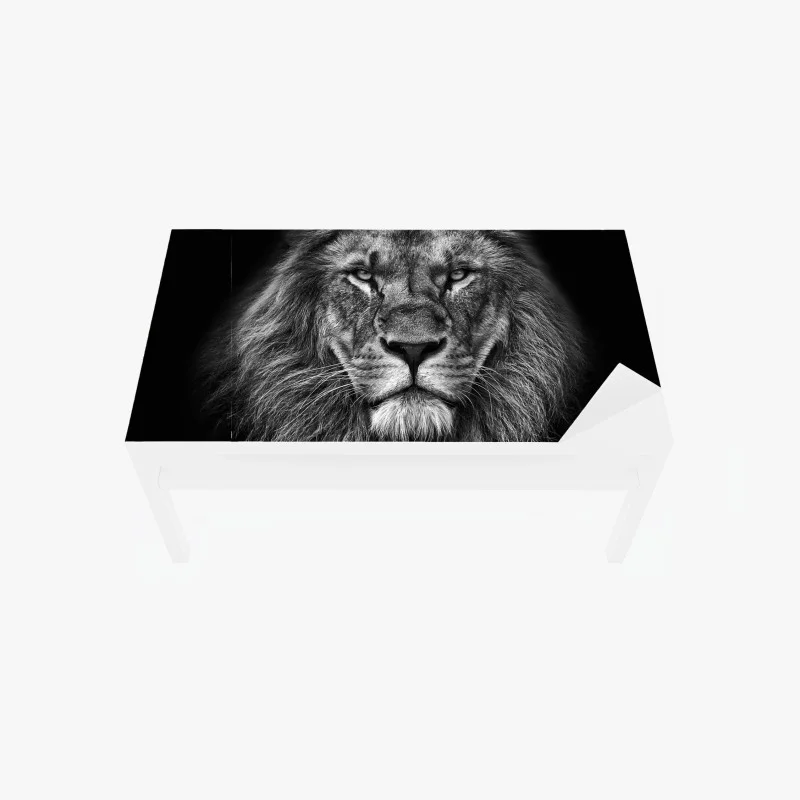 Chapa adhesiva para mesa y escritorio retrato majestuoso de león en blanco y negro