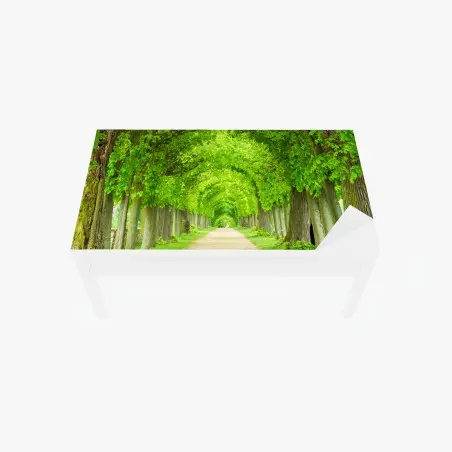Chapa adhesiva para mesa y escritorio túnel verde de árboles en perspectiva – Pixers®