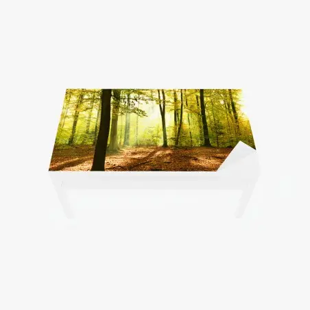 Chapa adhesiva para mesa y escritorio amanecer otoñal en el bosque dorado – Pixers®