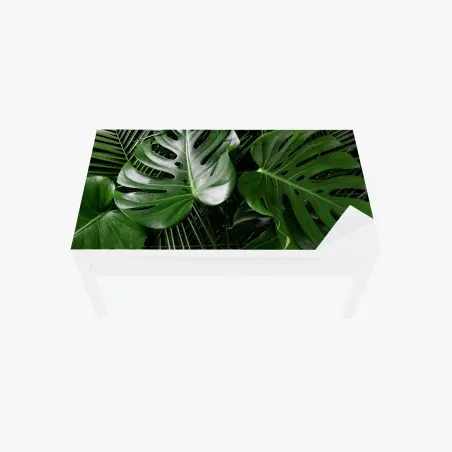 Chapa adhesiva para mesa y escritorio composición de hojas tropicales verdes – Pixers®