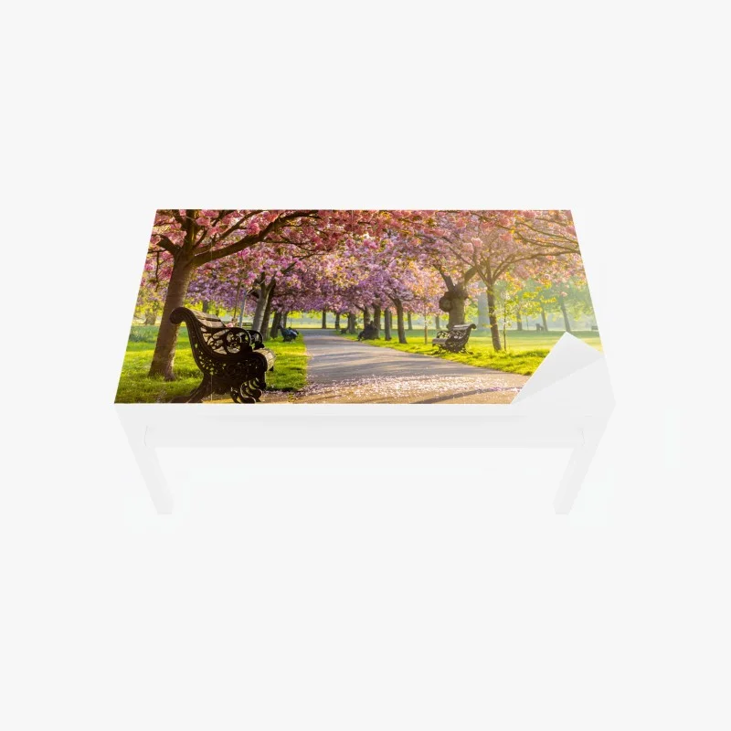 Chapa adhesiva para mesa y escritorio senda de cerezos en flor al amanecer
