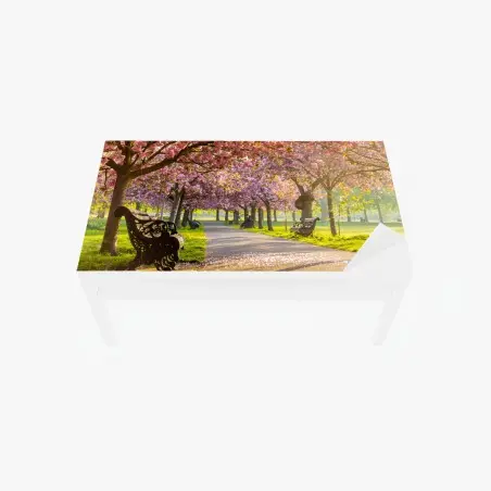 Chapa adhesiva para mesa y escritorio senda de cerezos en flor al amanecer – Pixers®