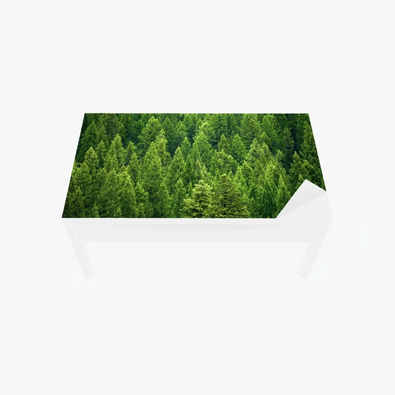 Chapa adhesiva para mesa y escritorio bosque de pinos en verde esmeralda