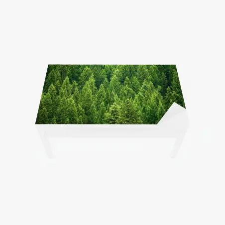 Chapa adhesiva para mesa y escritorio bosque de pinos en verde esmeralda – Pixers®