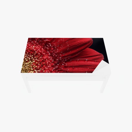 Chapa adhesiva para mesa y escritorio gerbera roja en primer plano con gotas – Pixers®