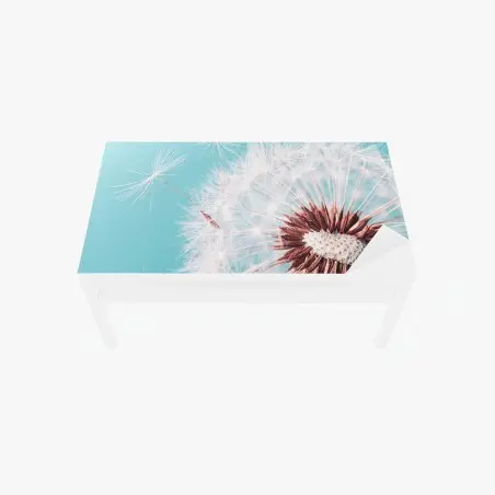 Chapa adhesiva para mesa y escritorio diente de león en vuelo sobre fondo turquesa – Pixers®