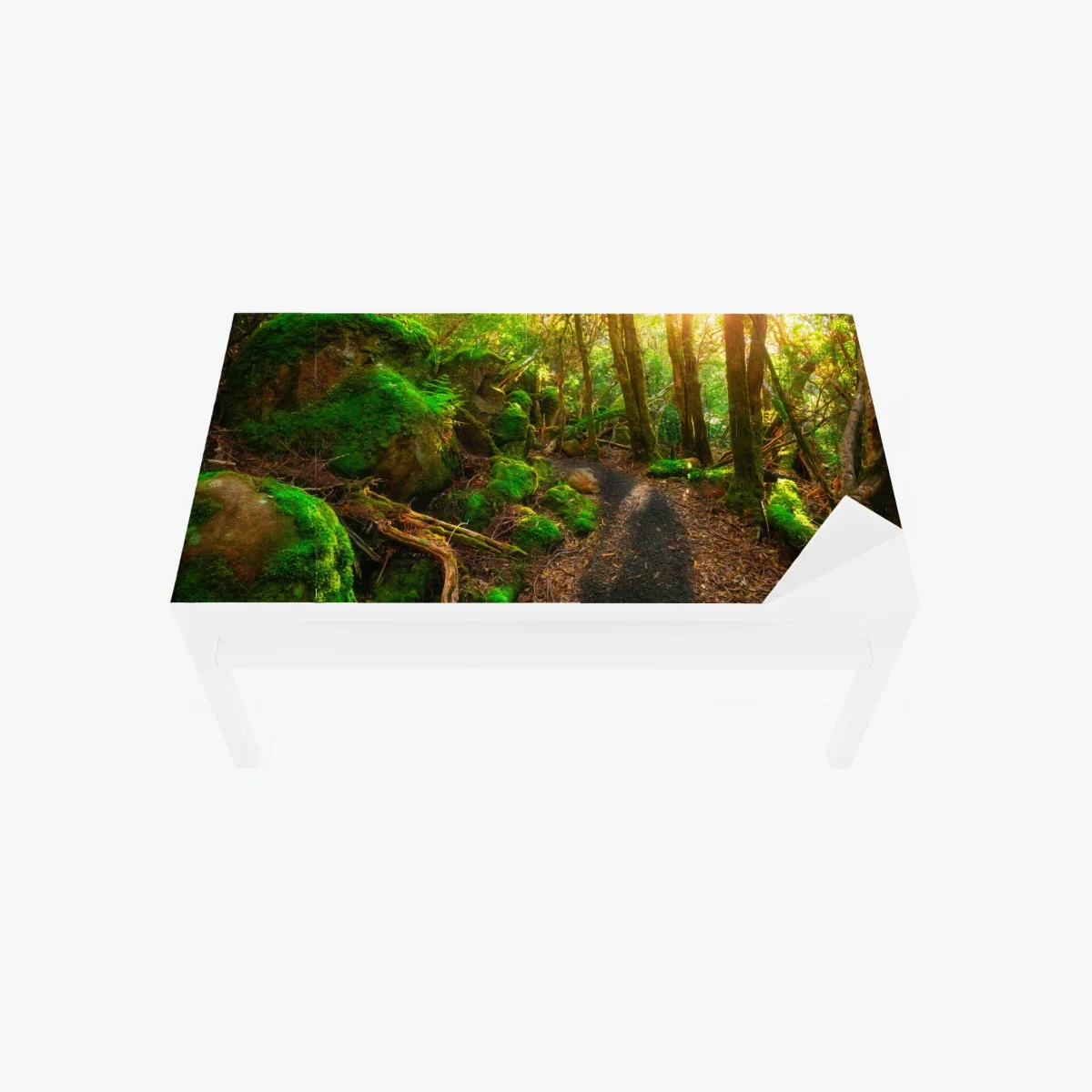 Chapa adhesiva para mesa y escritorio sendero jurásico en Tasmania – Pixers® Chapa adhesiva para mesa y escritorio sendero jurásico en Tasmania – Pixers®