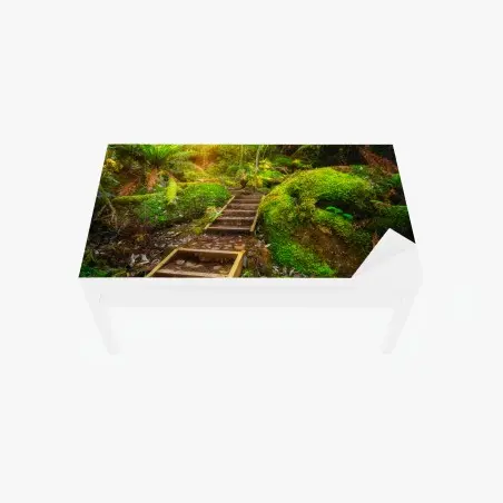 Chapa adhesiva para mesa y escritorio sendero jurásico en la península de Tasman, Tasmania – Pixers®
