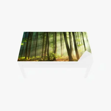 Chapa adhesiva para mesa y escritorio bosque al amanecer con luz dorada – Pixers®