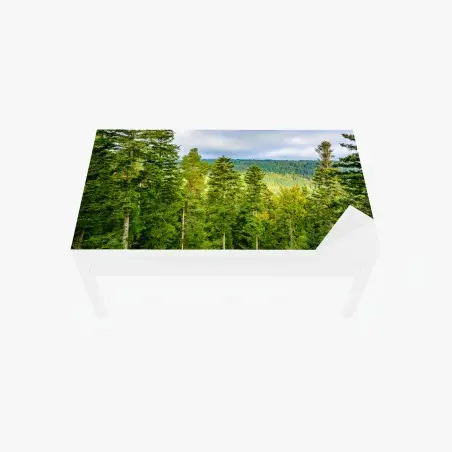 Chapa adhesiva para mesa y escritorio vistas otoñales del Bosque Negro – Pixers®