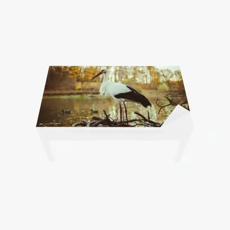 Chapa adhesiva para mesa y escritorio cigüeña en el lago otoñal – Pixers®