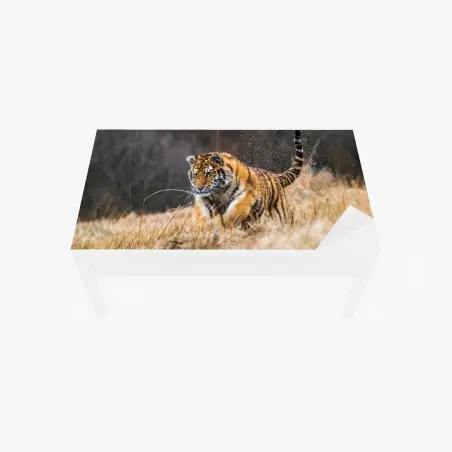 Chapa adhesiva para mesa y escritorio tigre siberiano en la pradera: fuerza en movimiento – Pixers®