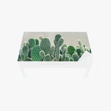 Chapa adhesiva para mesa y escritorio cactus opuntia en primer plano para decoración – Pixers®